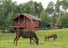 Canada-Alberta-Southern Alberta Ranch